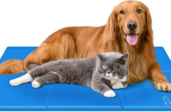 Die beste Hundekühlmatte 2026: 4 starke Modelle für Wohnung, Auto und heiße Sommertage