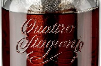 Die besten Cold-Brew-Kaffeebereiter 2026 für den Sommer