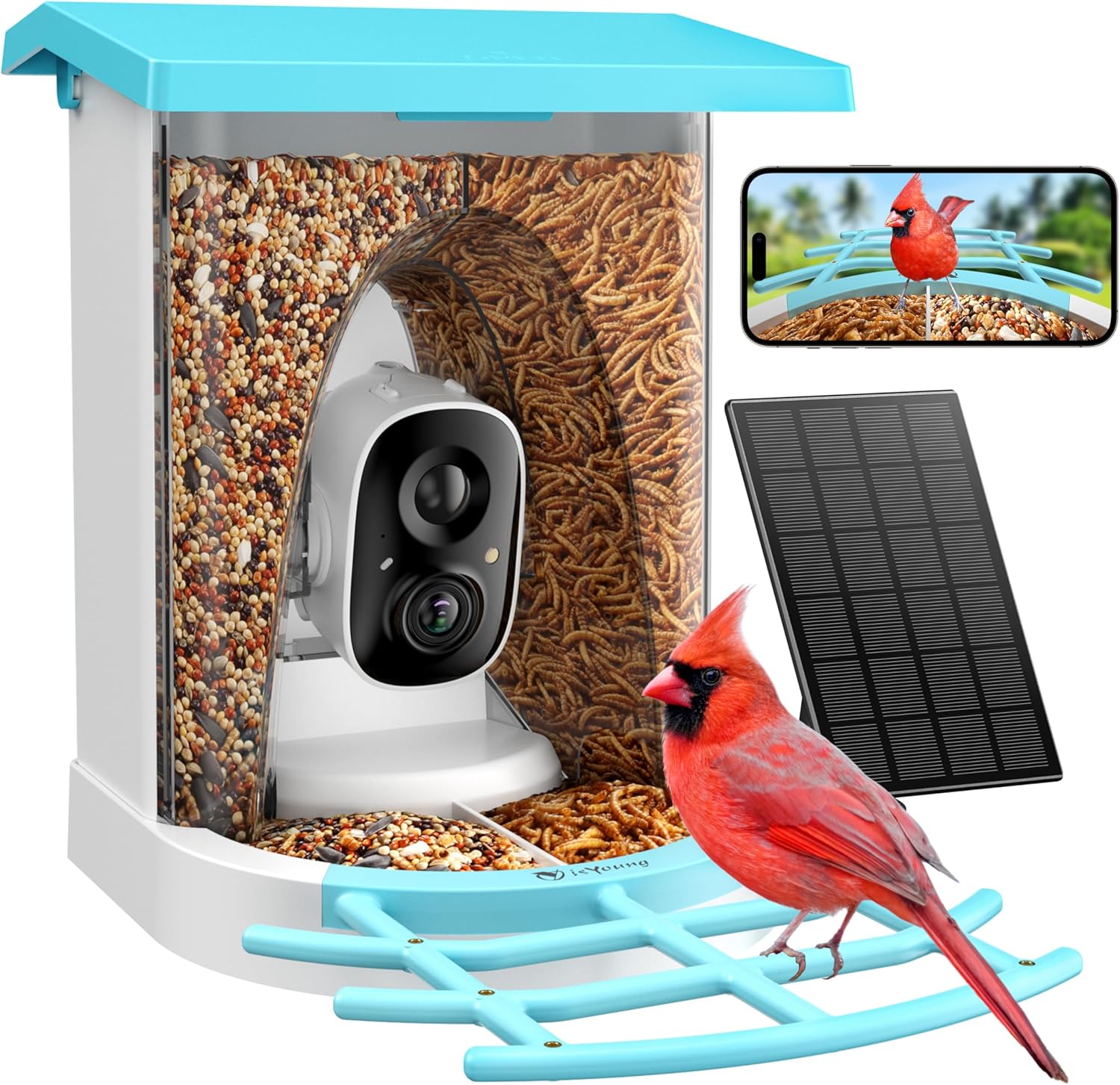 isYoung Smart Bird Feeder